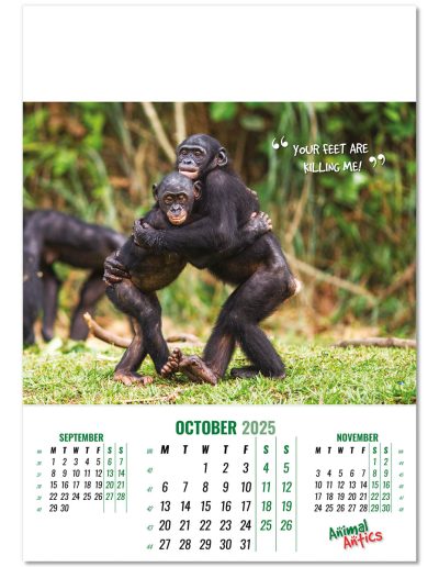 100215-animal-antics-wall-calendar-october