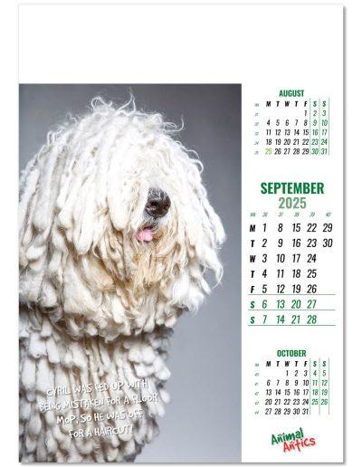 100215-animal-antics-wall-calendar-september