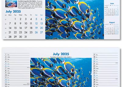 200115-blue-planet-desk-calendar-july