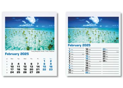300015-blue-planet-mini-desk-calendar-february