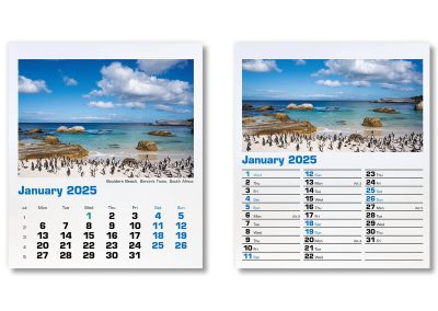 300015-blue-planet-mini-desk-calendar-january