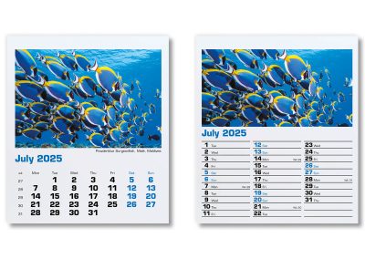 300015-blue-planet-mini-desk-calendar-july
