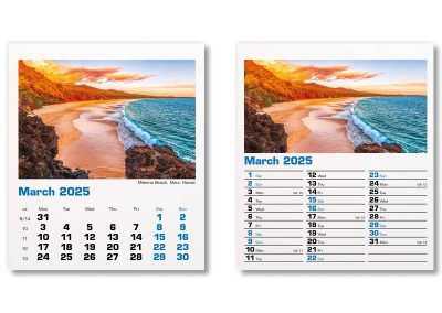 300015-blue-planet-mini-desk-calendar-march
