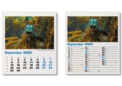 300015-blue-planet-mini-desk-calendar-september