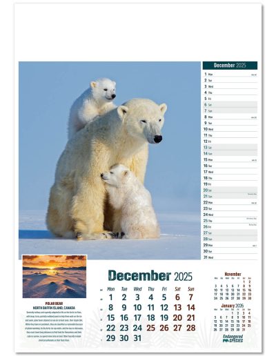 110315-endangered-species-wall-calendar-december