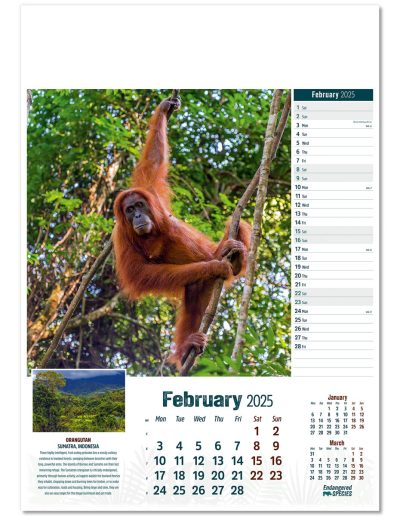 110315-endangered-species-wall-calendar-february