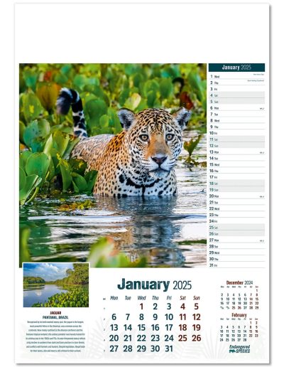 110315-endangered-species-wall-calendar-january