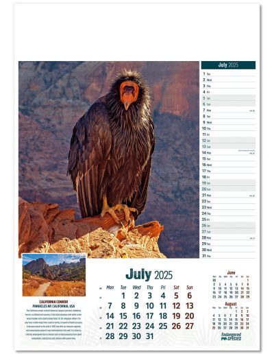 110315-endangered-species-wall-calendar-july
