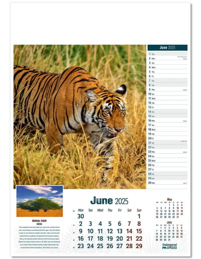 110315-endangered-species-wall-calendar-june