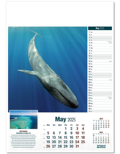 110315-endangered-species-wall-calendar-may