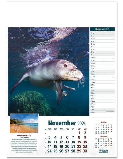 110315-endangered-species-wall-calendar-november