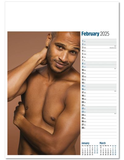 104615-hot-stuff-wall-calendar-february