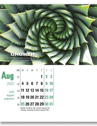 400015-inspirations-cd-calendar-august