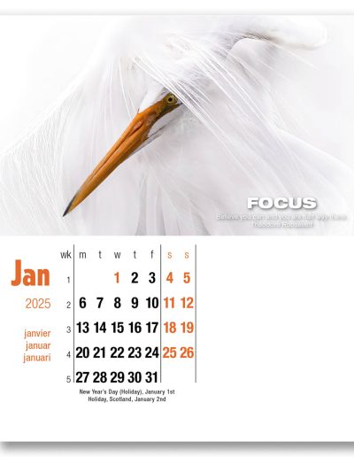 400015-inspirations-cd-calendar-january