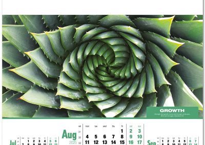105115-inspirations-wall-calendar-august