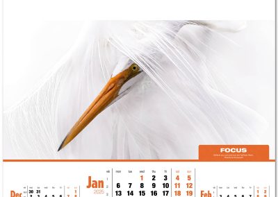 105115-inspirations-wall-calendar-january