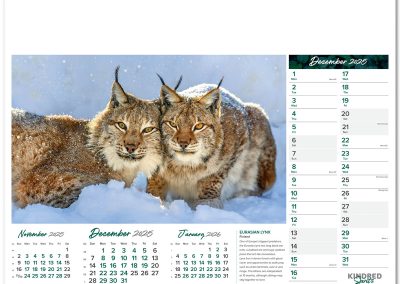 101015-kindred-spirits-wall-calendar-december