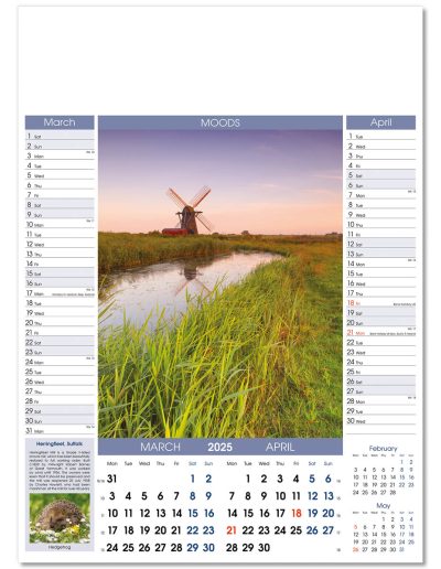 106515-moods-wall-calendar-mar-apr