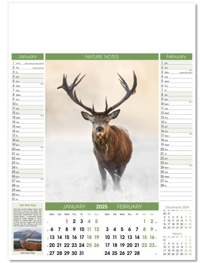 106915-nature-notes-wall-calendar-jan-feb