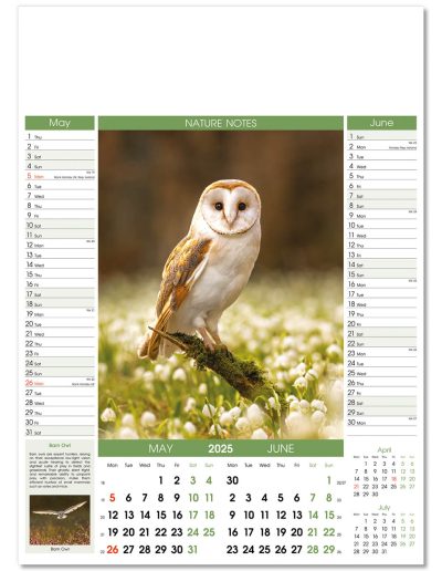106915-nature-notes-wall-calendar-may-jun