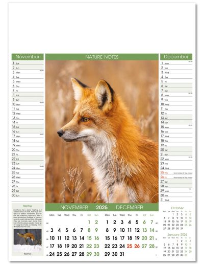 106915-nature-notes-wall-calendar-nov-dec