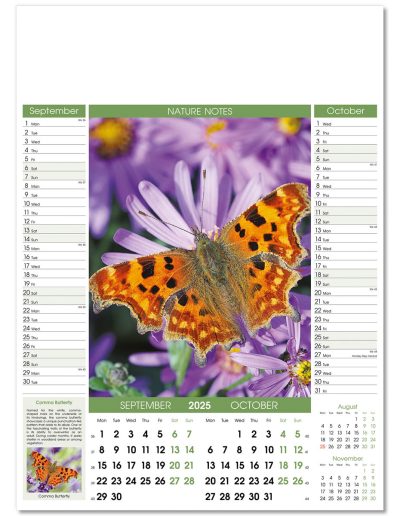 106915-nature-notes-wall-calendar-sep-oct
