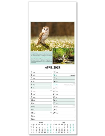 107215-natures-glory-wall-calendar-april