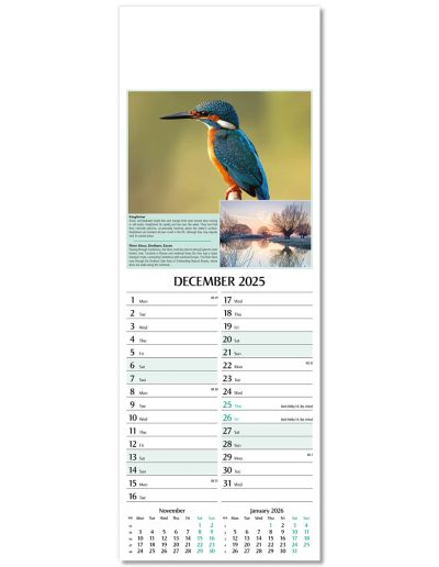 107215-natures-glory-wall-calendar-december