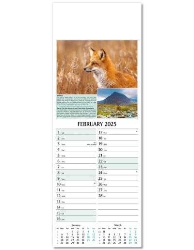 107215-natures-glory-wall-calendar-february
