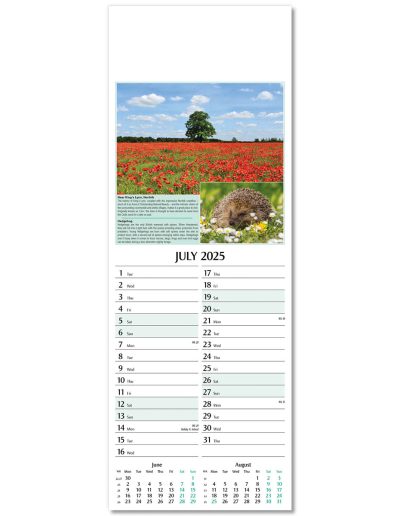 107215-natures-glory-wall-calendar-july