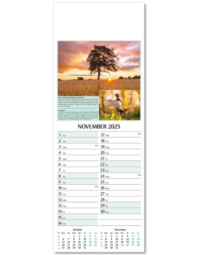 107215-natures-glory-wall-calendar-november
