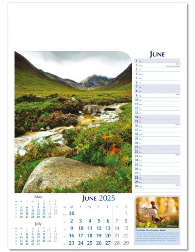 107615-notable-scotland-wall-calendar-june