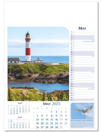 107615-notable-scotland-wall-calendar-may