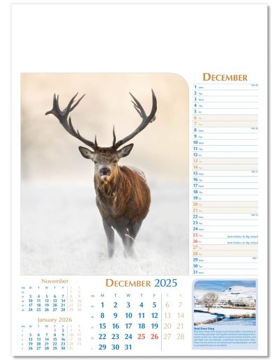 107715-notable-wildlife-wall-calendar-december