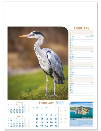 107715-notable-wildlife-wall-calendar-february