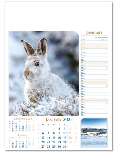 107715-notable-wildlife-wall-calendar-january