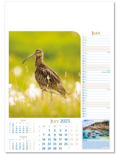 107715-notable-wildlife-wall-calendar-july