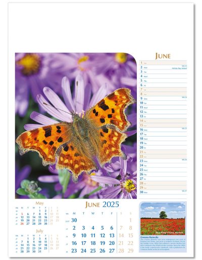 107715-notable-wildlife-wall-calendar-june