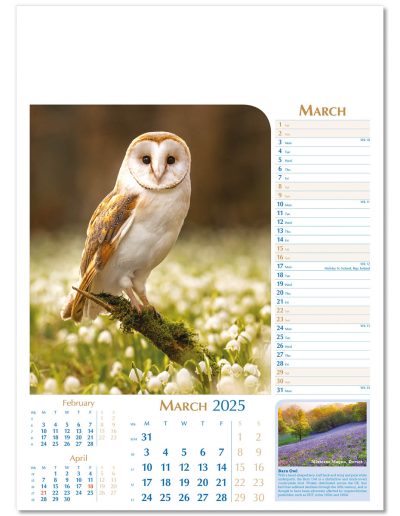 107715-notable-wildlife-wall-calendar-march