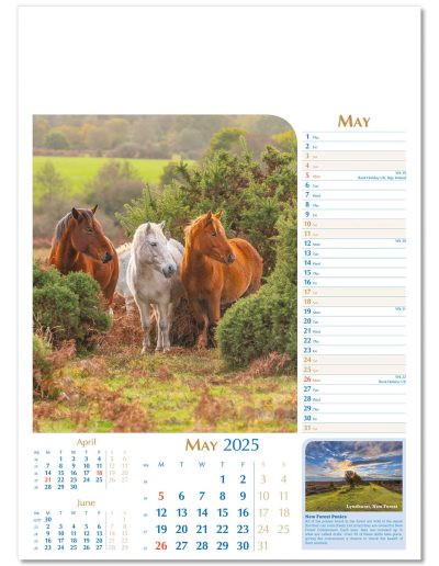 107715-notable-wildlife-wall-calendar-may