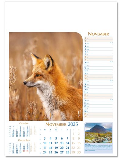 107715-notable-wildlife-wall-calendar-november