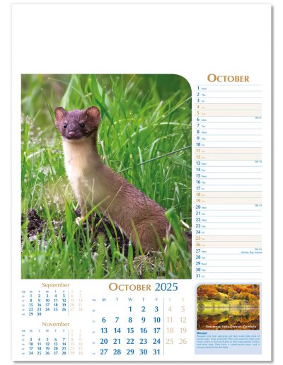 107715-notable-wildlife-wall-calendar-october