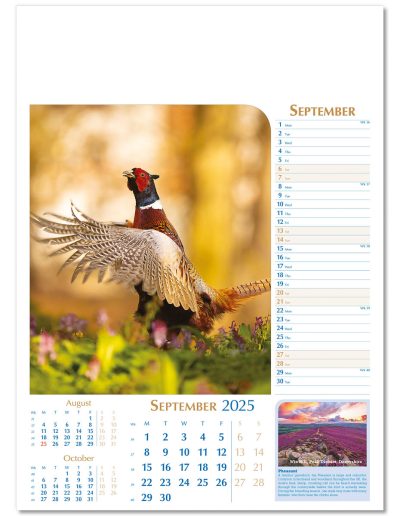 107715-notable-wildlife-wall-calendar-september