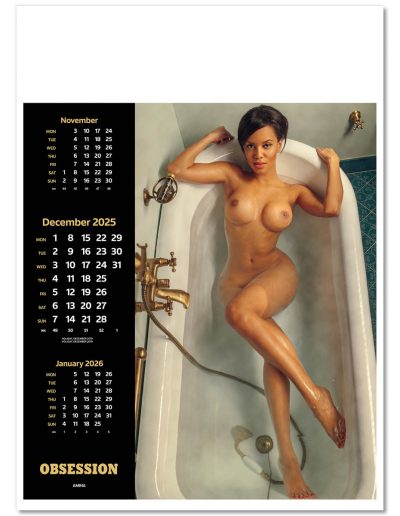 108215-obsession-wall-calendar-december