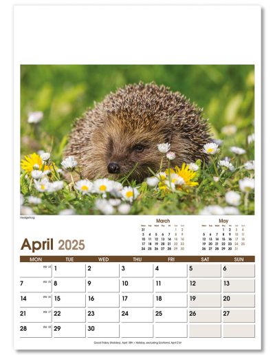 NWO053-rural-life-optima-wall-calendar-april