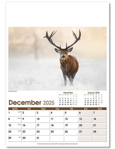 NWO053-rural-life-optima-wall-calendar-december