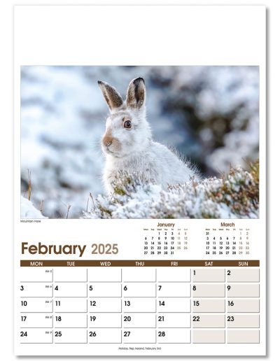 NWO053-rural-life-optima-wall-calendar-february