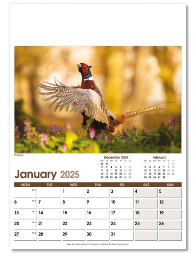 NWO053-rural-life-optima-wall-calendar-january