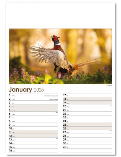 NWO053-rural-life-optima-wall-calendar-january-memo
