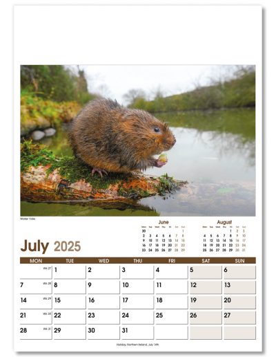 NWO053-rural-life-optima-wall-calendar-july